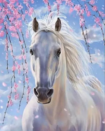 Mooi schimmel paard (40x50cm full painting)