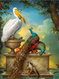 Een pelikaan en 2 pauwen en een aapje op de voorgrond (40x50cm full painting)