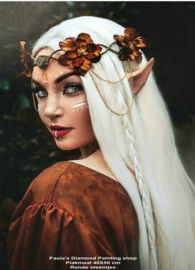 Dragon Princess met wit haar (40x50cm full painting)