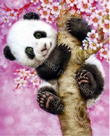 Panda baby in bloesemboom (30x40cm full painting)