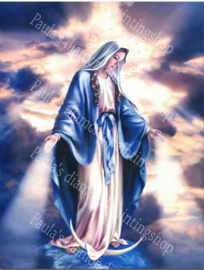 De Heilige maagd Maria (40x50cm full painting)