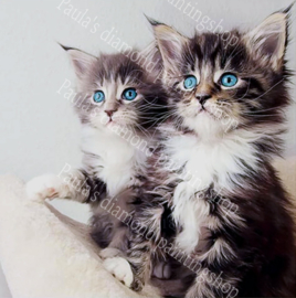 Twee schattige kittens met blauwe ogen (40x50cm full painting)