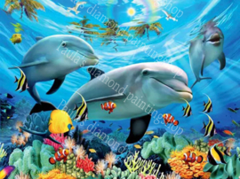 Drie dolfijnen tussen andere vissen  (40x50cm full painting)