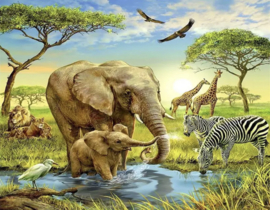 Olifant met jong en andere dieren aan het drinken (40X50cm full painting)