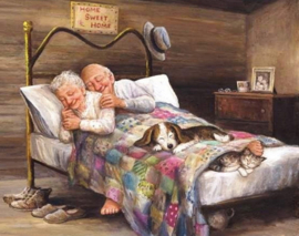 Opa en Oma in bed met hond en kat (40x50cm full painting.)
