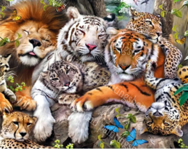 Verzameling tijgers leeuw panter en puma (40x50cm full painting)