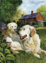 Golden retriever met pub (40x50cm full painting.)