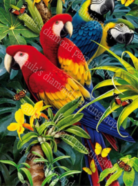 4 gekleurde Papegaaien tussen de bloemen  (40x50cm full painting)