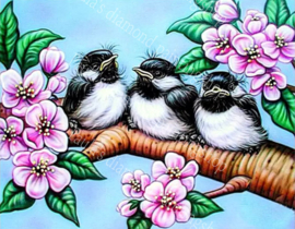 Die vogeltjes op een tak tussen bloesems (40x50cm full painting)