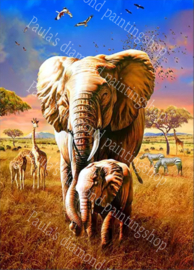 Olifant met jong  zebra's en giraffen (40x50cm full painting)