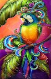 Fel gekleurde Papagaai heel mooi (40x50cm full painting)