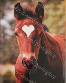 Een bruin paard met een wit hartje op zijn hoofd (40x50cm full painting)