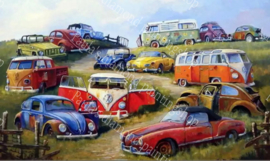 Alle volkswagen auto's verzamelen (40x50cm full painting)