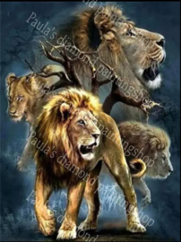 De leeuwen van Afrika (40x50cm full painting)