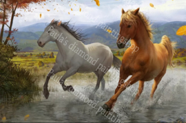 Twee paarden galopperend in het water (40x50cm full painting)