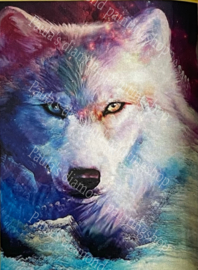 Closeup van een witte wolf (40x50cm full painting)