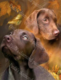 Twee bruine licht en donkere labradors (40x50cm full painting)