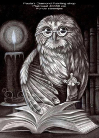 Harry Potter uil bij kaarslicht kijkt in een boek (40x50cm full painting)