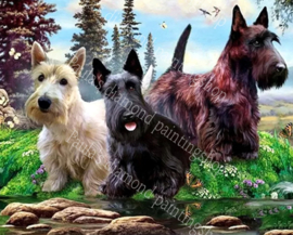 Drie leuke Terrier hondjes (40x50cm full painting)