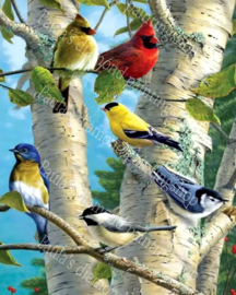 Diverse vogels op een boomtak (40x50cm full painting)