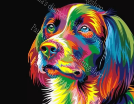 Het hoofd van een fel gekleurde hond (40x50cm full painting)