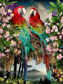 Twee Rode en groene Macaws Papegaaien (40x50cm full painting)