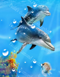 Twee dolfijnen  hoe lief is dat  (40x50cm full painting)