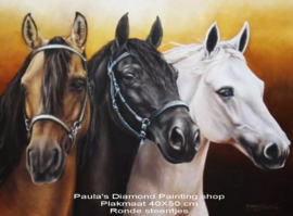 3 Paarden Zwart Bruin en Wit (40x50cm full painting.)