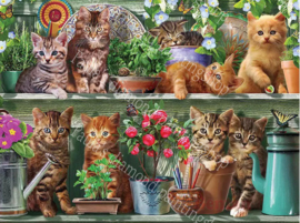 Kittens op een muurplankje tussen bloemen (40x50cm full painting)
