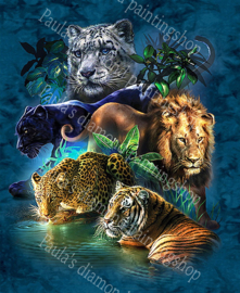 Leeuwen,Tijgers Panters en luipaarden  tijdens het baden  (40x50cm full painting)