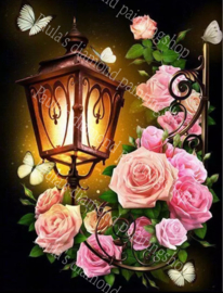 Oude lantaarn met roze rozen en vlinders (40x50cm full painting)