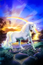 Een eenhoorn paard met de regenboog (40x50cm full painting)