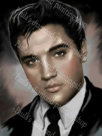 Elvis Presley portret met stropdas (40x50cm) (full painting.)