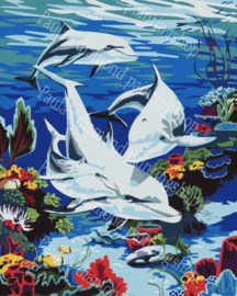 Drie witte dolfijnen op een  schilderij afbeelding (40x50cm full painting)