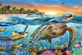 Schilpadden en dolfijnen in een schone zee (40x50cm full painting)