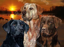 3 Labradors zwart blond en bruin (40x50cm full painting)