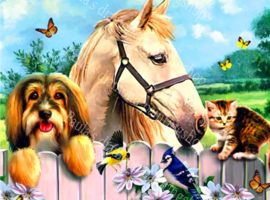 Een paard en hond poesje en vogeltje (40x50cm full painting)