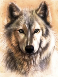 Close up van een wolven kop (40X50cm full painting)