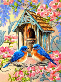 Twee bluebirds voor een vogelhuisje  (40x50cm full painting)