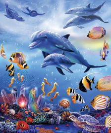 Twee dolfijnen zwemmen tussen diverse zeedieren (40X50cm full painting)