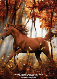 Paard kleur bruin in het bos (40x50cm) (full painting.)