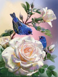 Twee blauwe vogeltjes zittend op bloemen (40x50cm full painting )