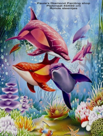 5 Dolfijnen zwemmend tussen beplanting  (40x50cm full painting)