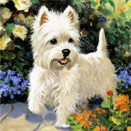 Westie hondje tussen de bloemen (40x50cm full painting)