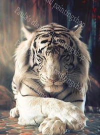 Cole-Up van een witte tijger (40x50cm full painting)
