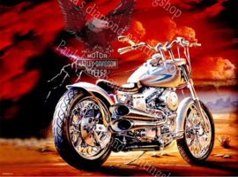 Harley Davidson rood (40x50cm) (full painting.)
