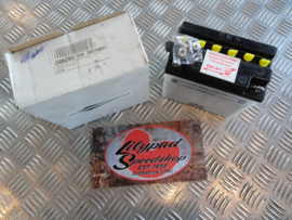 BATTERY IMPORT, 7AH 12V KICKSTART MODELS