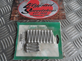 GW, PANHEAD ROCKER COVER SCREW KIT. CHROME ALLEN. LONG