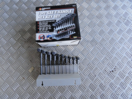 10 PC SAE T HANDLE HEX KEY SET