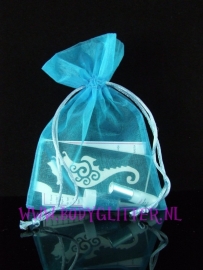 Minisetje Turquoise Seahorse Wirly